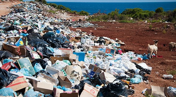 waste on beach