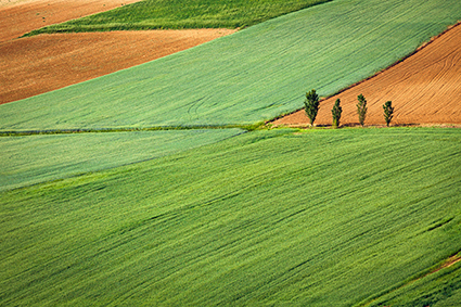 improved harvest yield bio fertilizer