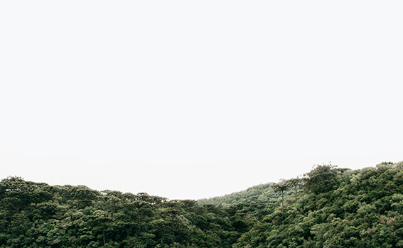 Economic sustainability